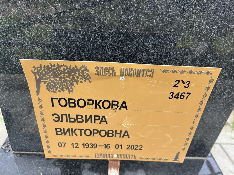 Эльвира Говоркова Викторовна
