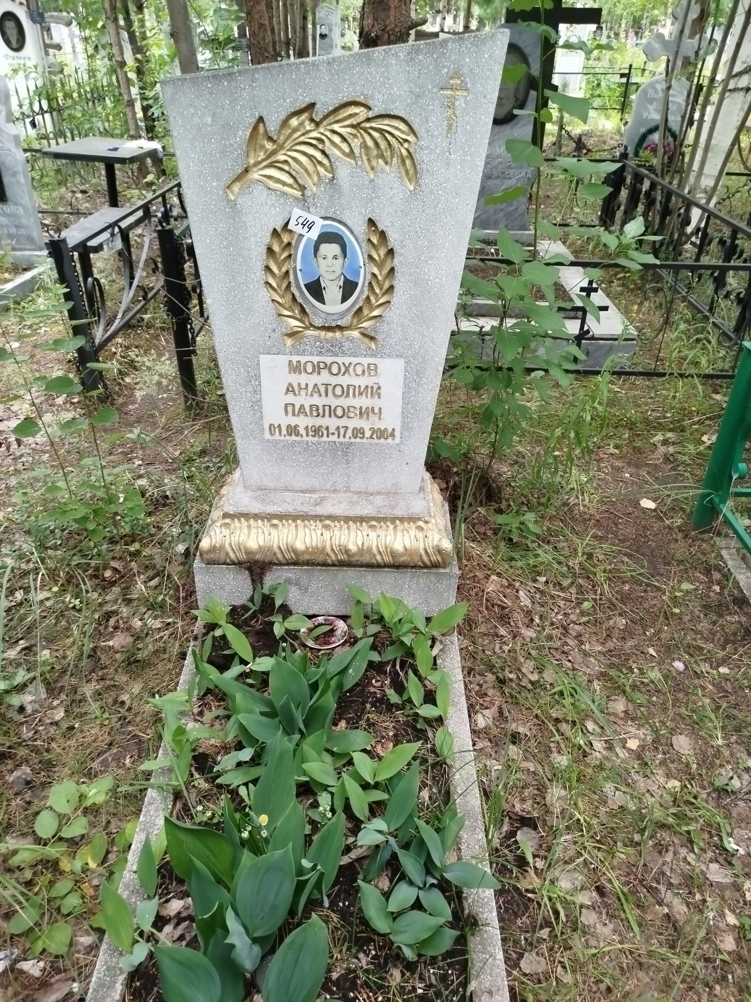 Морохов Анатолий Павлович