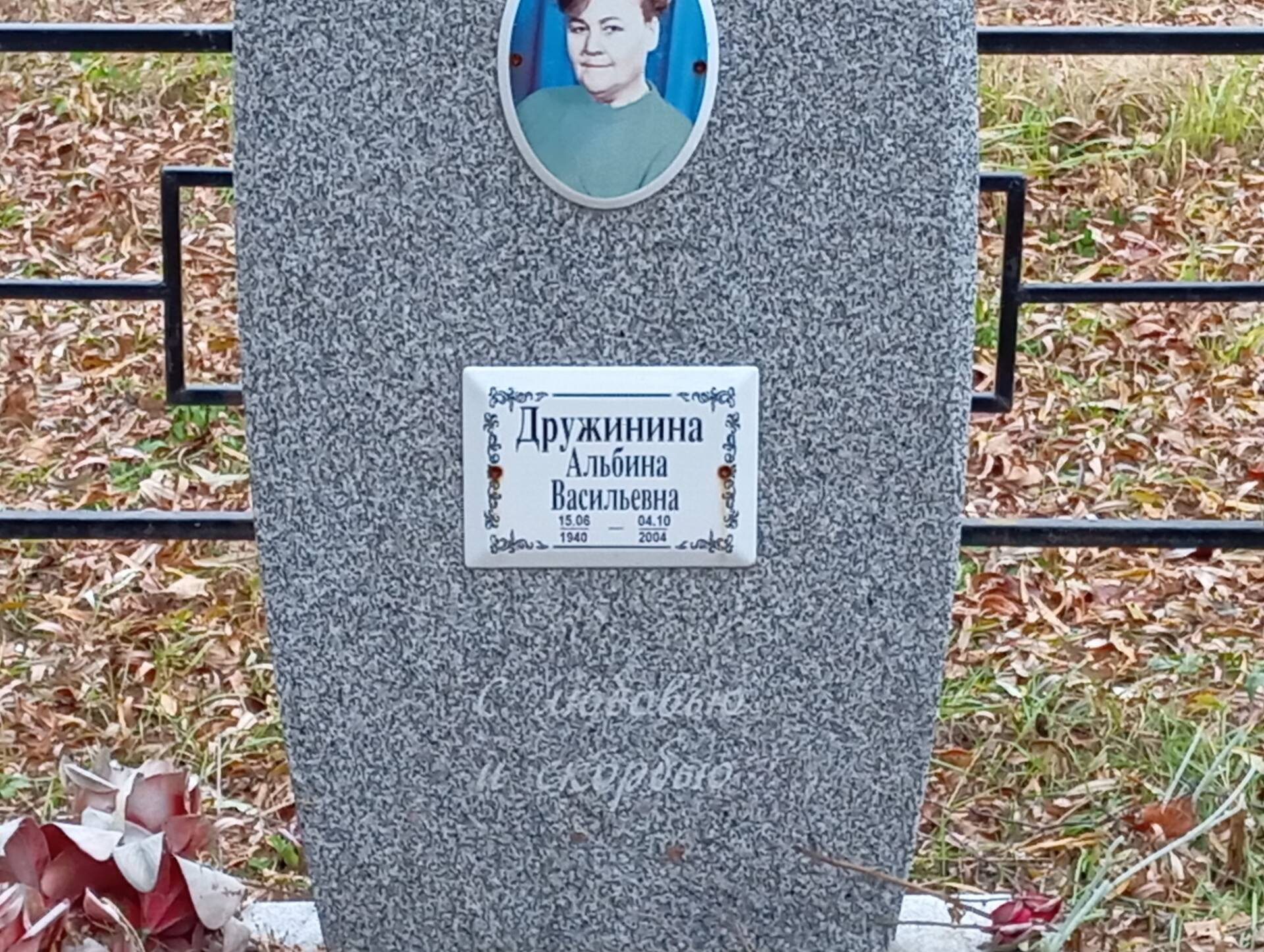 Дружинина Альбина Васильевна