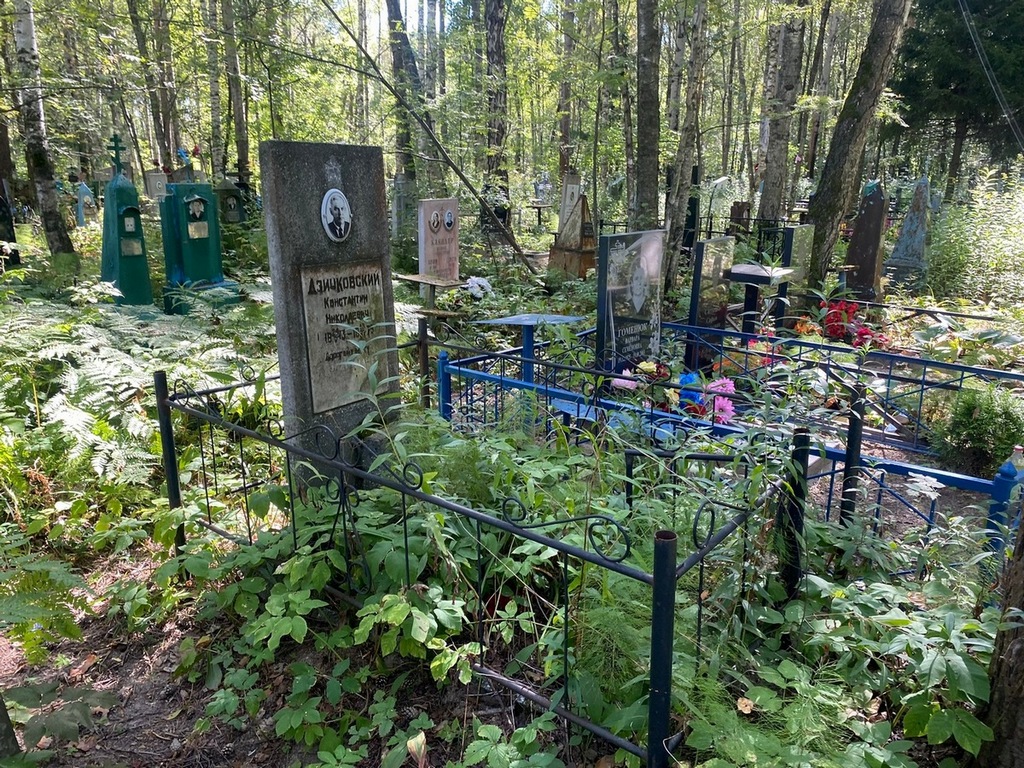 Дзичковский Константин Николаевич