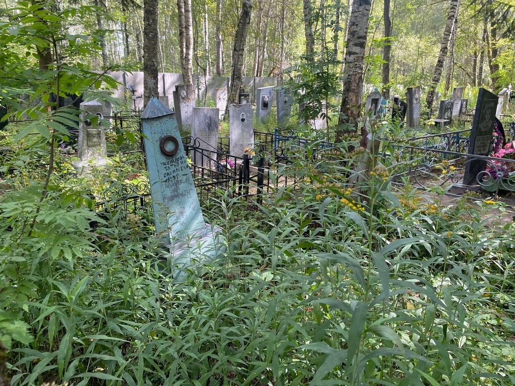Щепалова Татьяна Васильевна