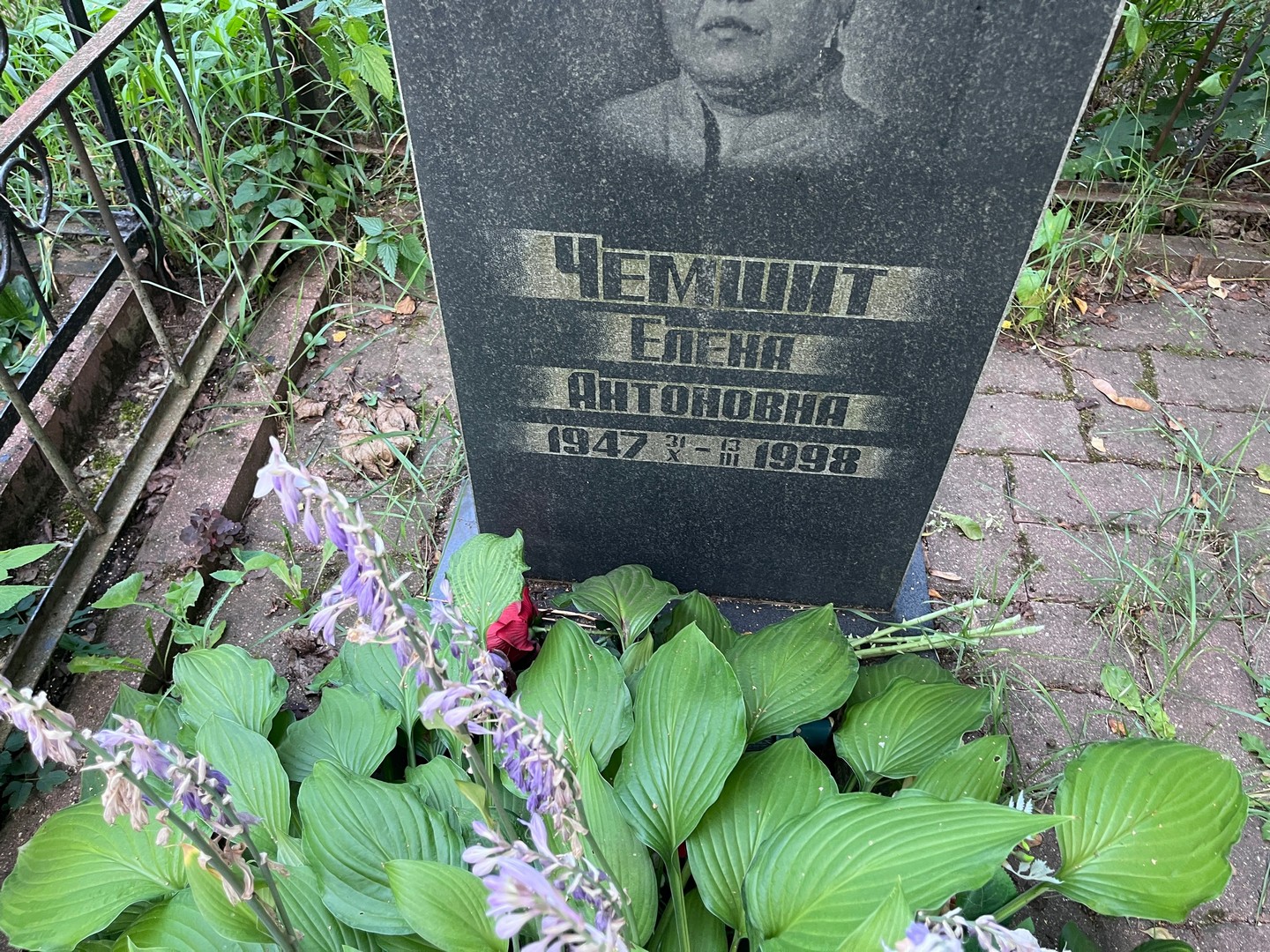 Чемшит