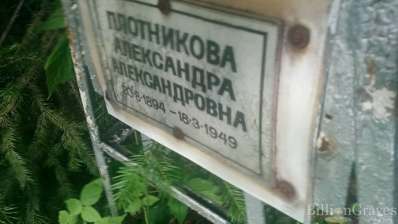 Плотникова Александра Александровна