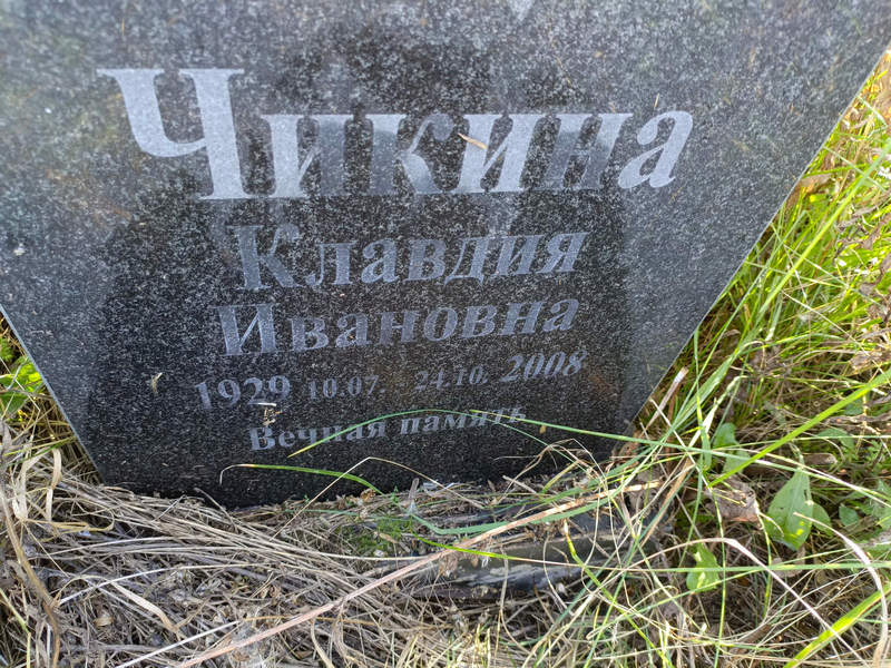 Чикина