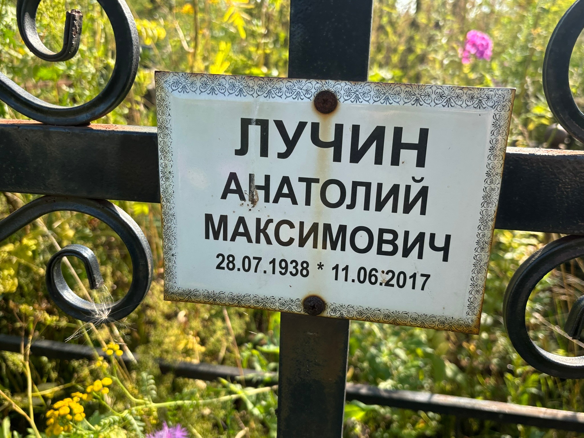 Лучин