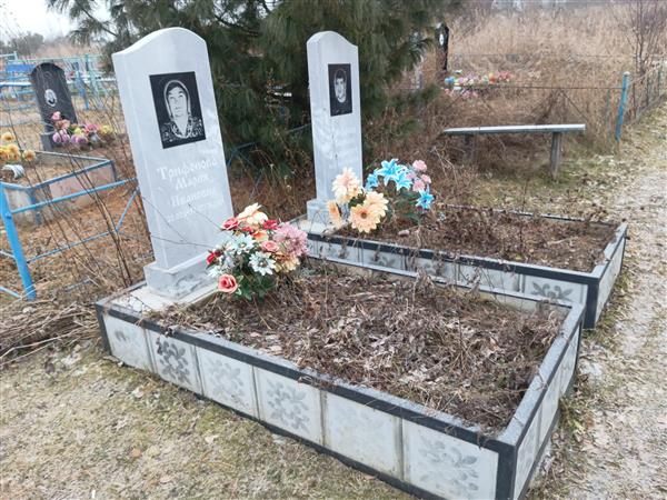 Трифонов Василий Валерьевич