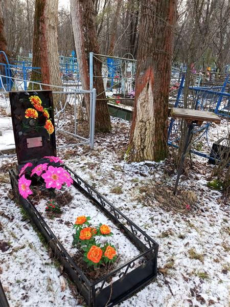 гигина екатерина сергеевна