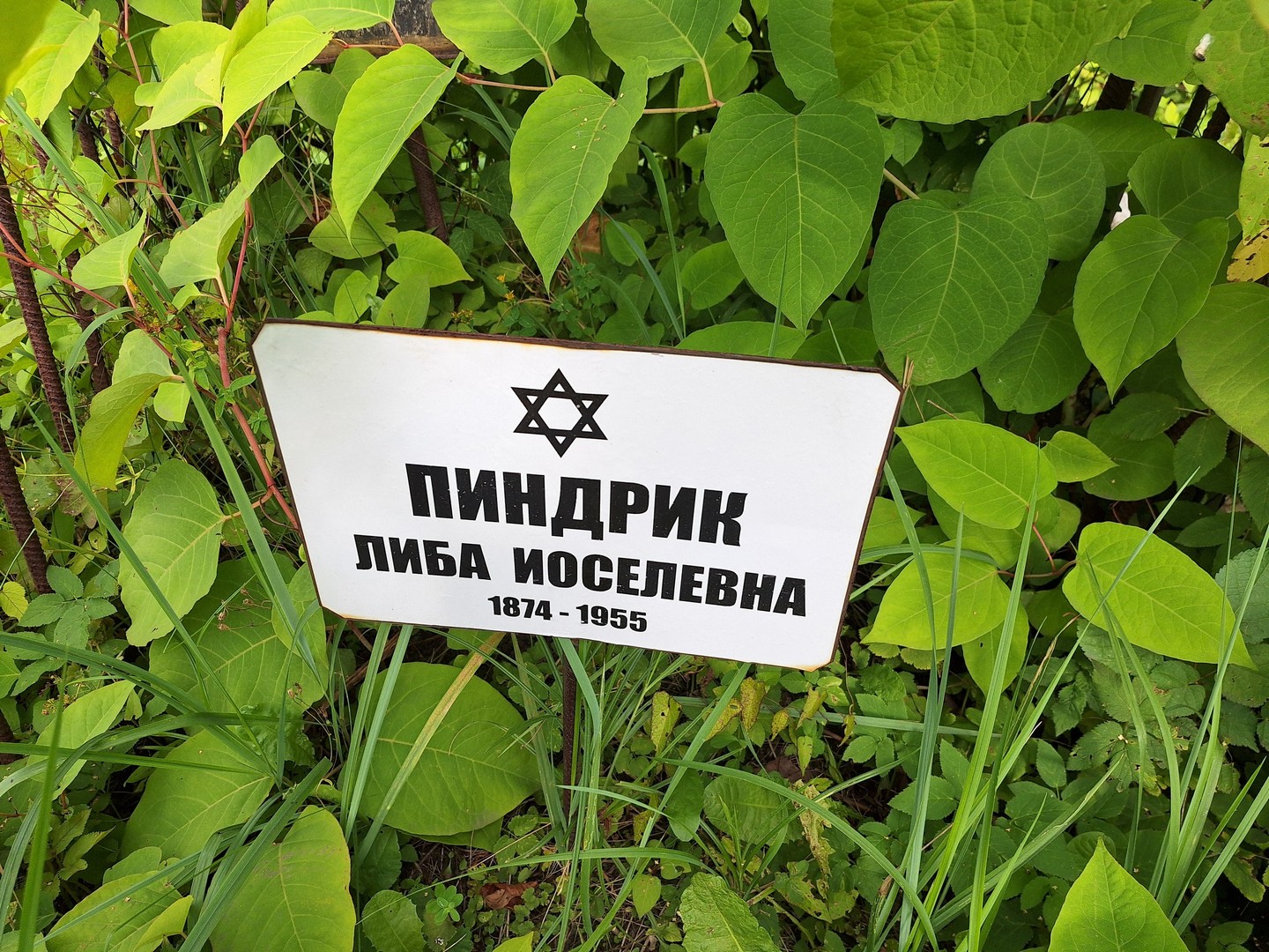 Либа Пиндрик Иоселевна