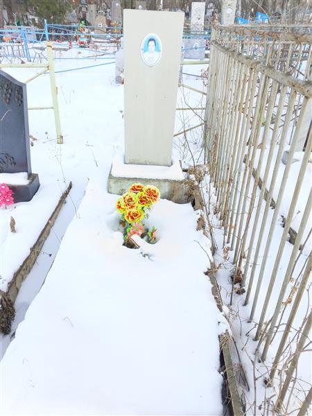 Инкина Светлана Николаевна