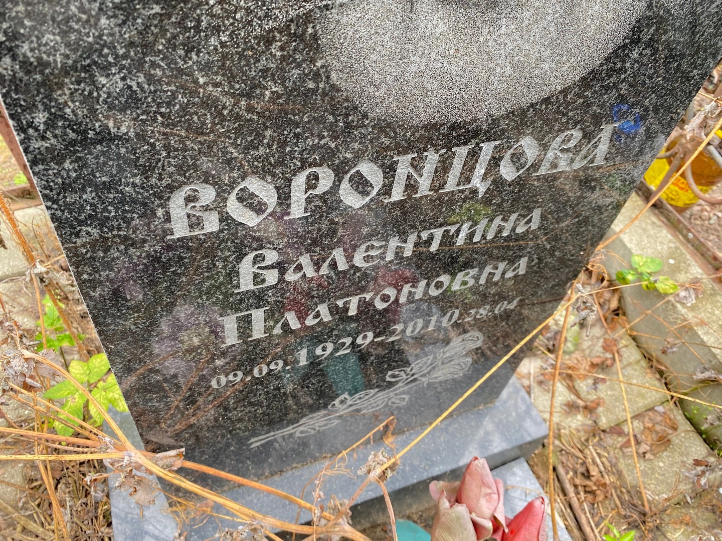 Воронцова