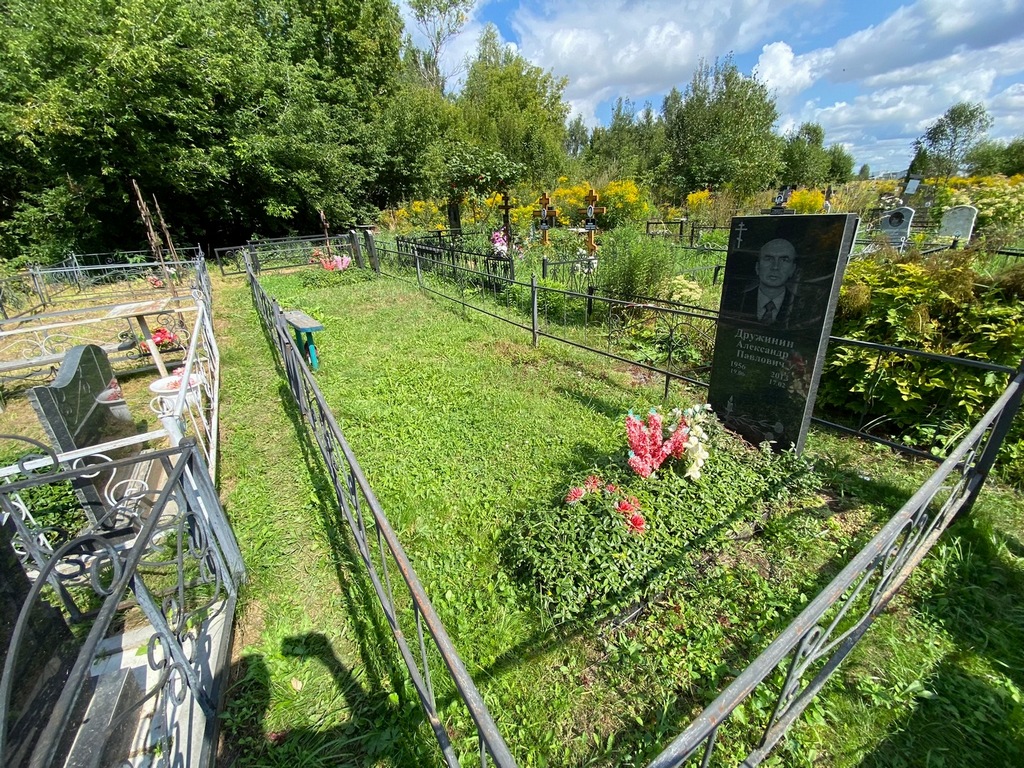 Дружинин Александр Павлович