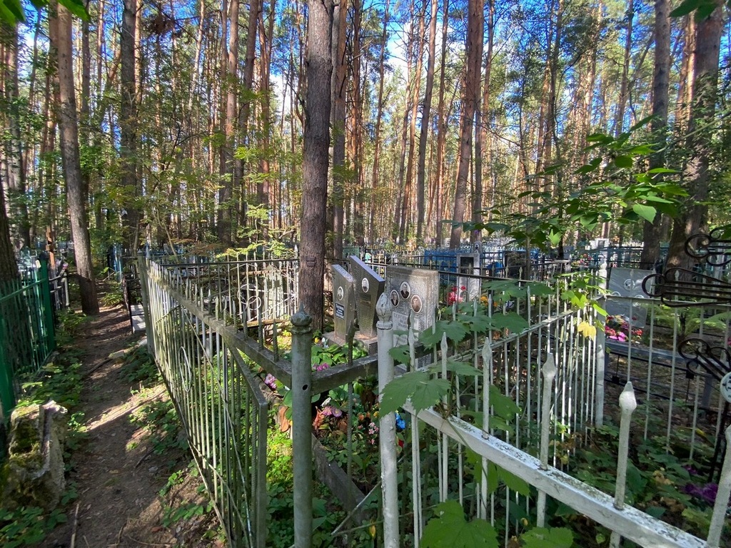 Сергеичев Федор Иванович
