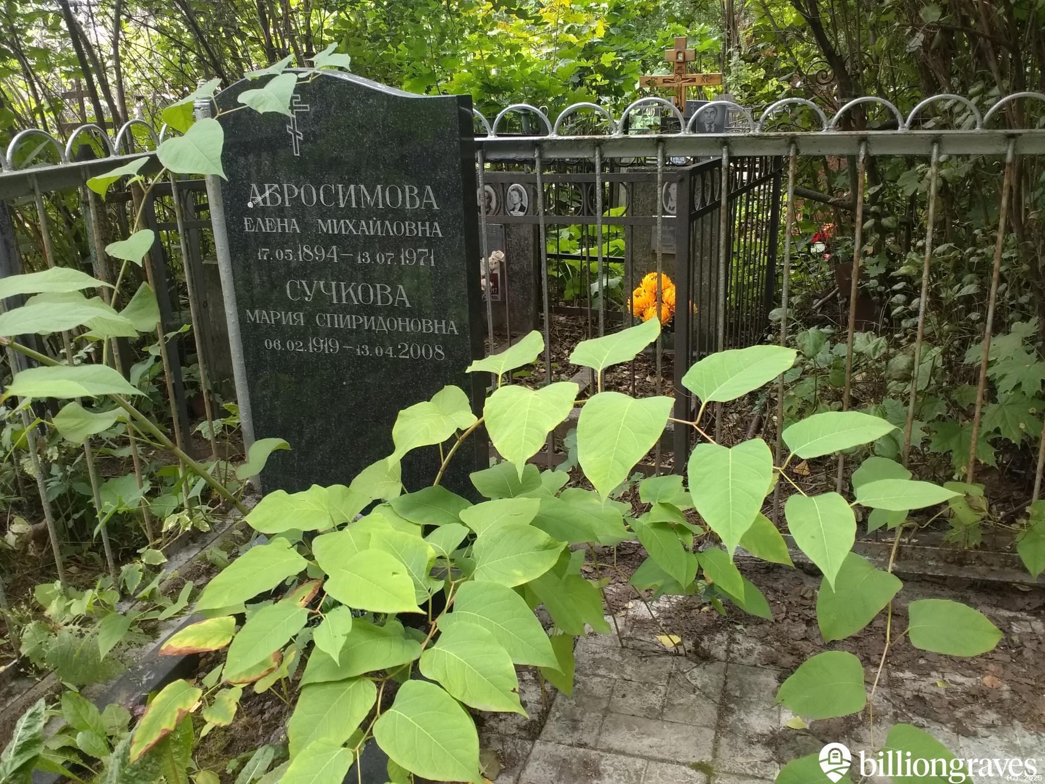 Абросимова Елена Михайловна
