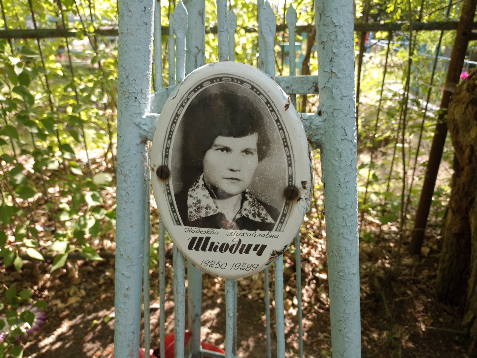 Шкодич Надежда Михайловна