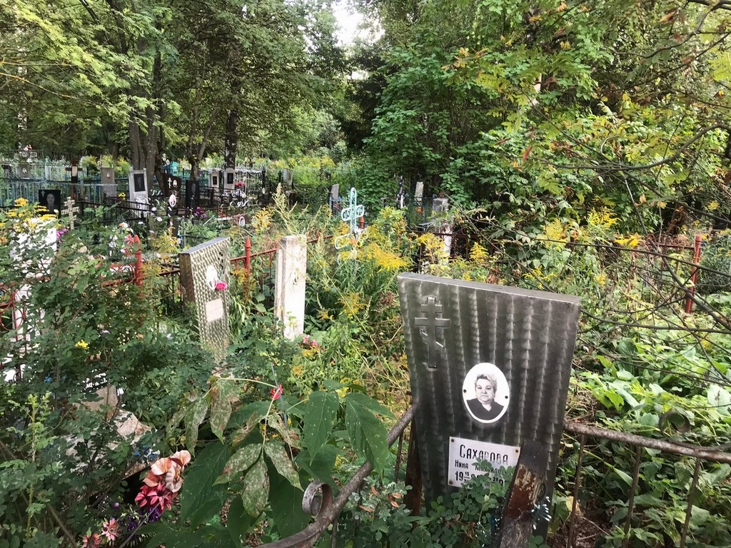 Сафатова Анна Николаевна