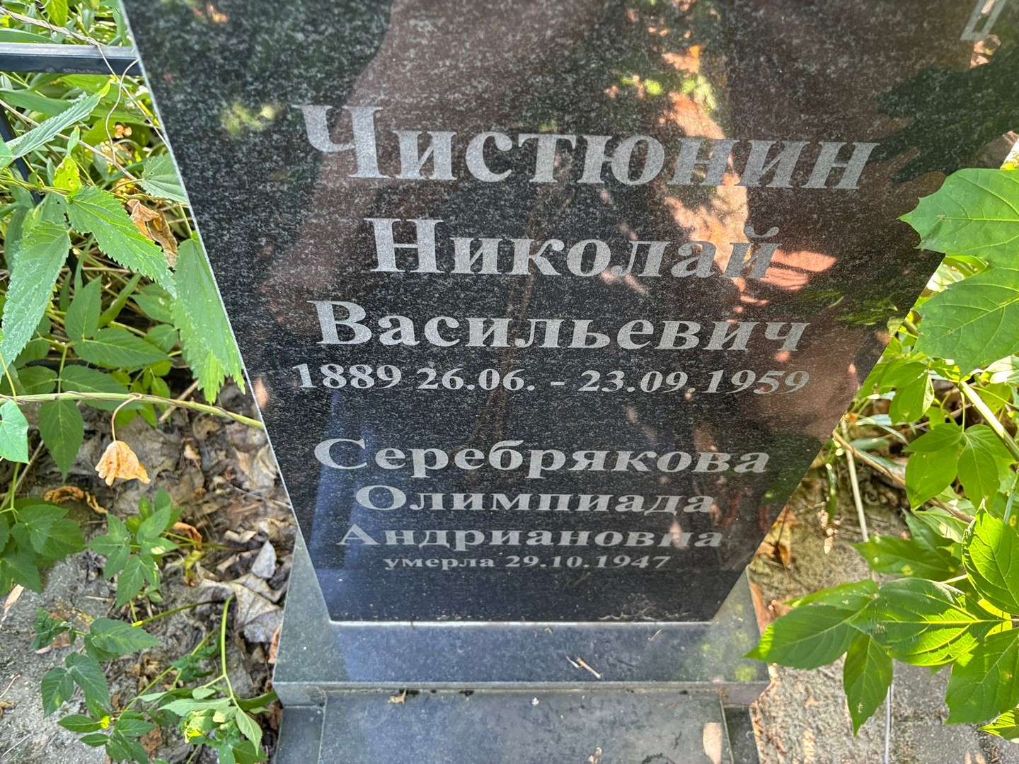 Чистюнин