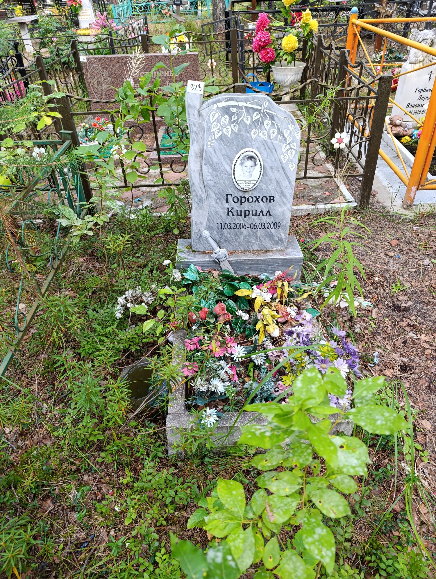 Горохов Денис Анатольевич