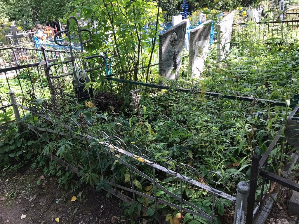 Романова Анастасия Васильевна