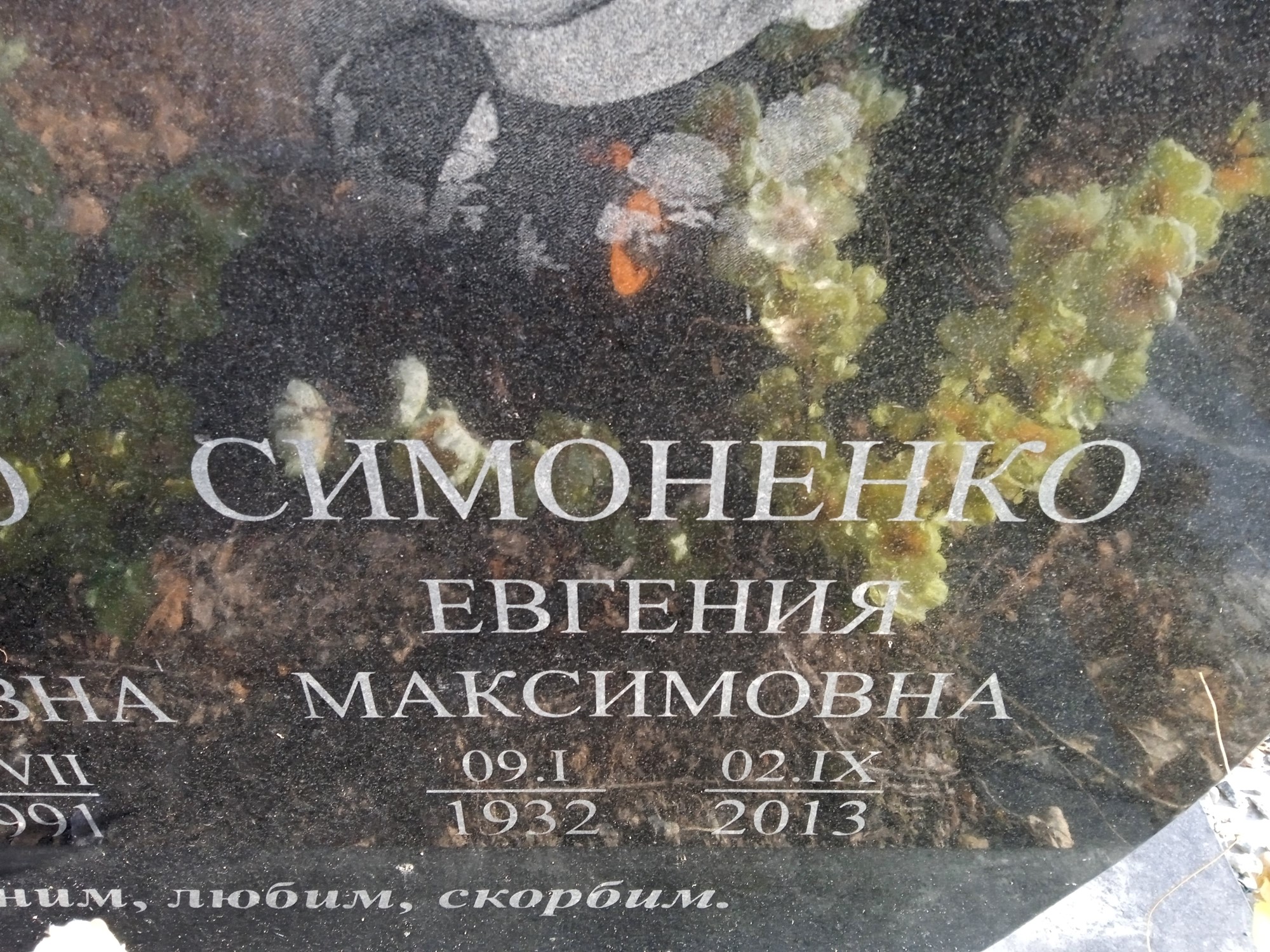 Симоненко Евгения Максимовна