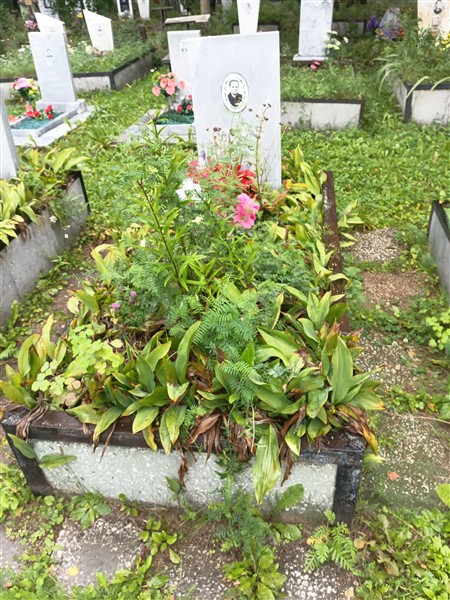 Арапова Александра Похомовна