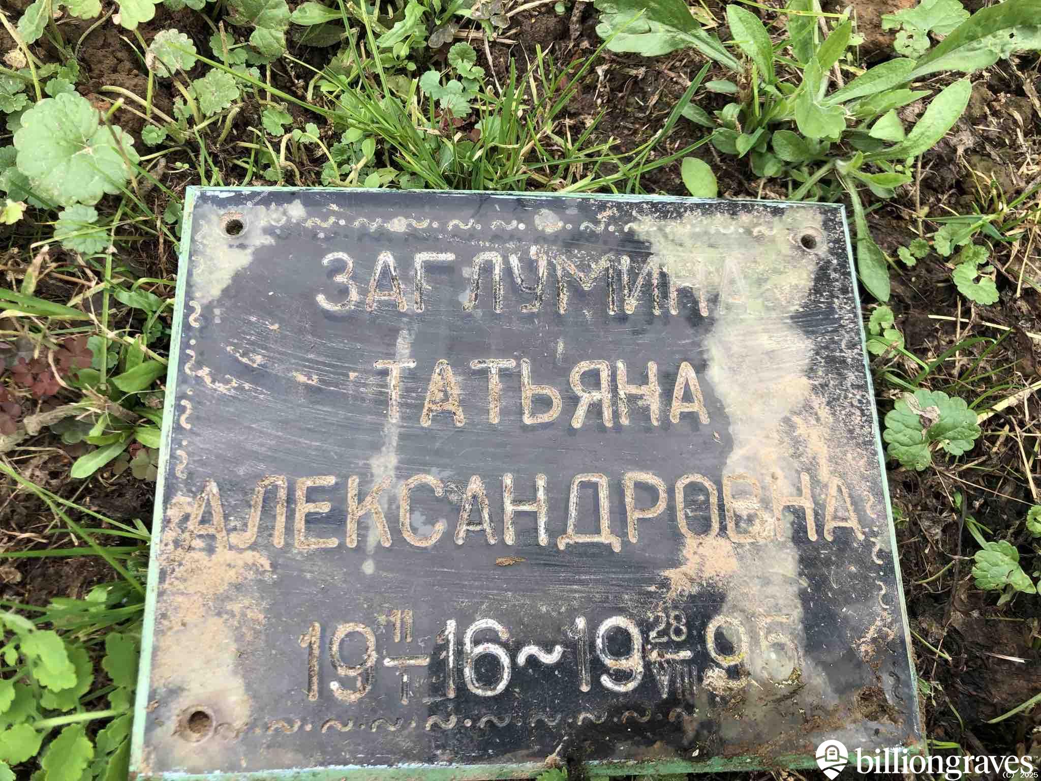Заглумина Татьяна Александровна