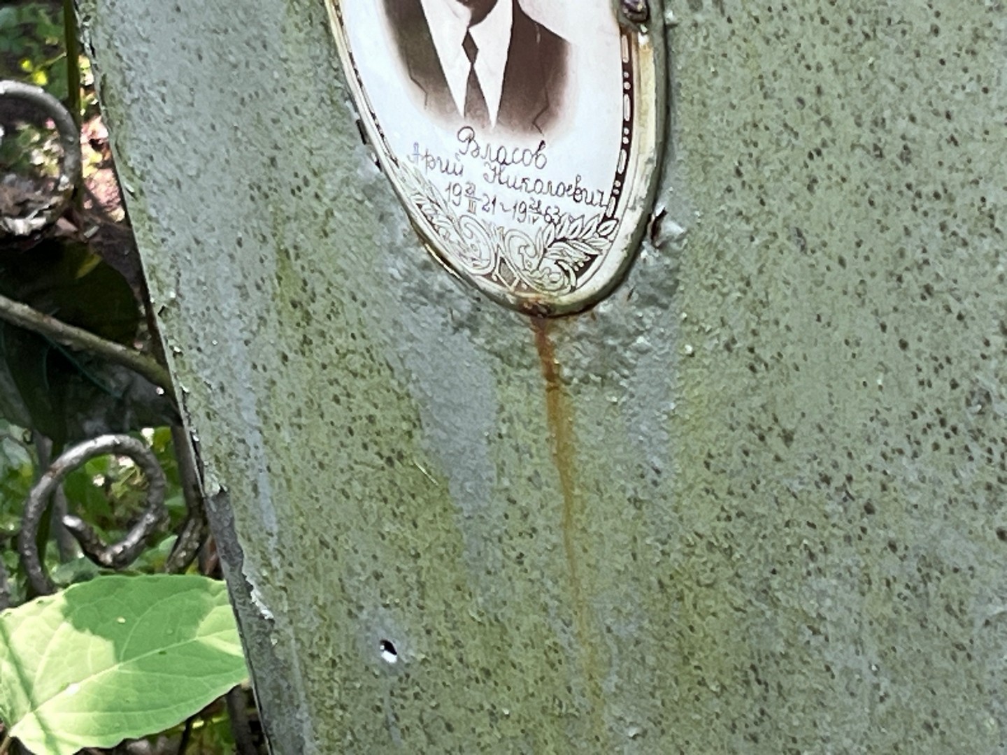 Арий Власов Николаевич