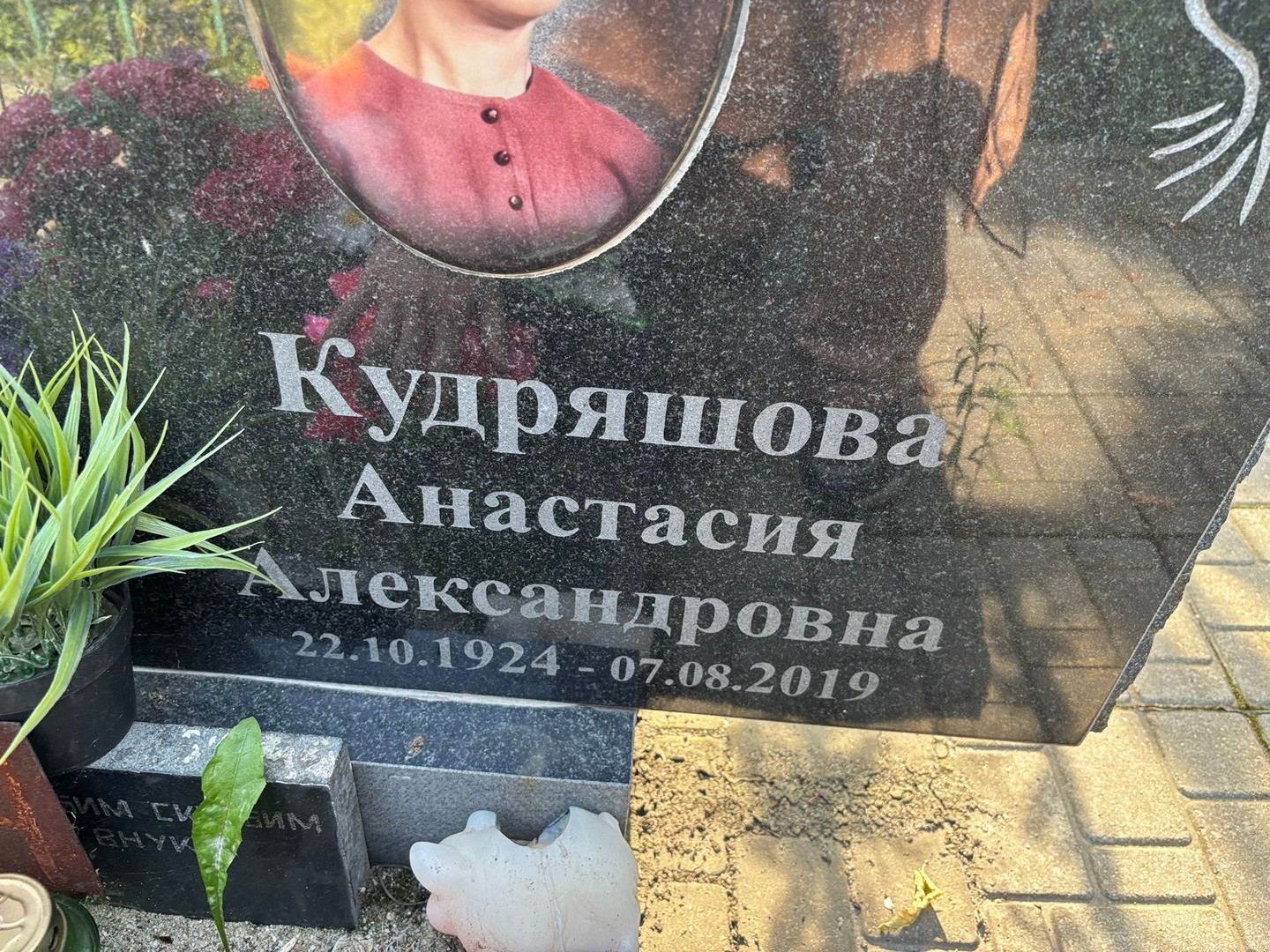 Кудряшова Анастасия Александровна