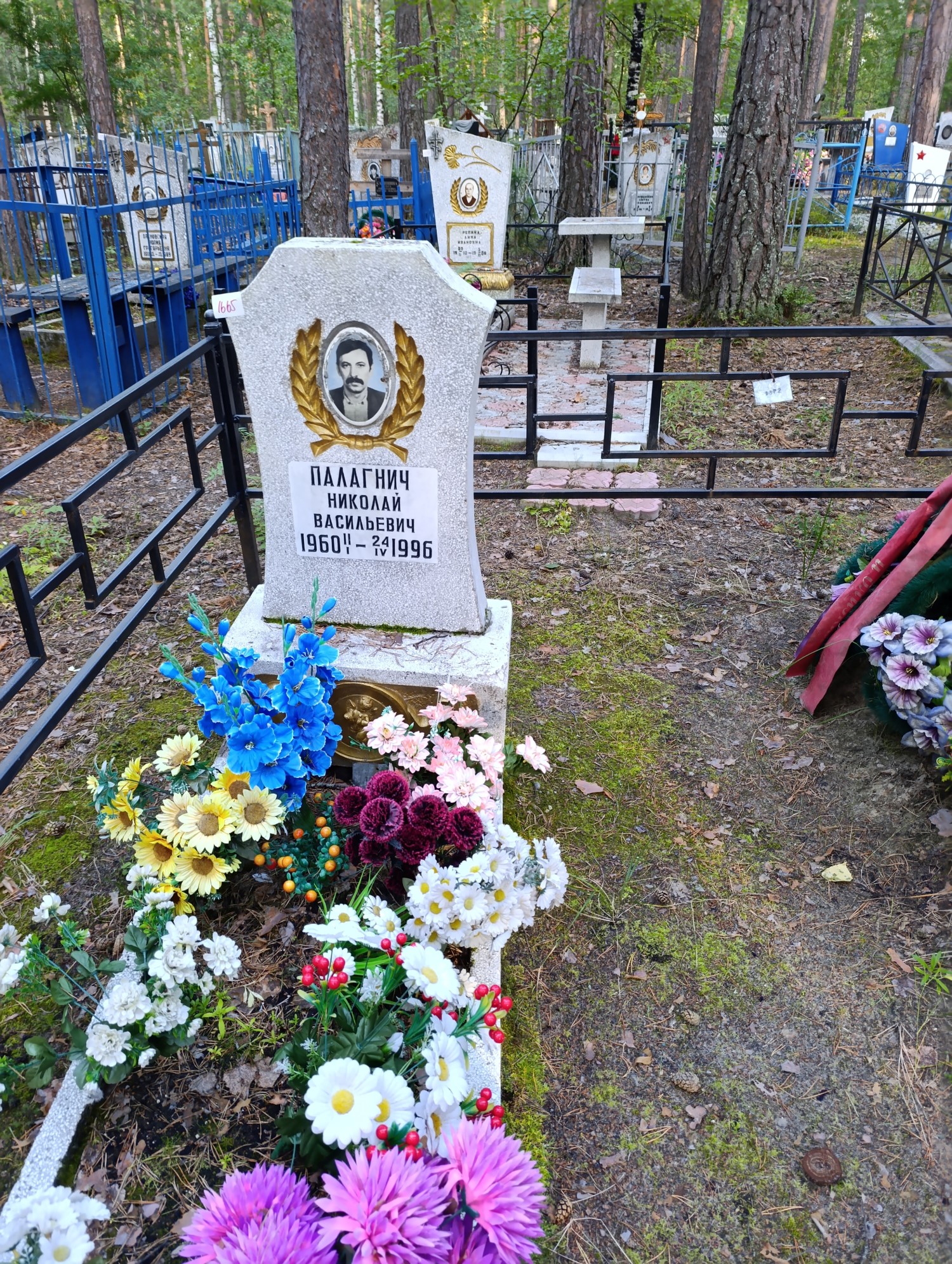 Палагнич Николай Васильевич