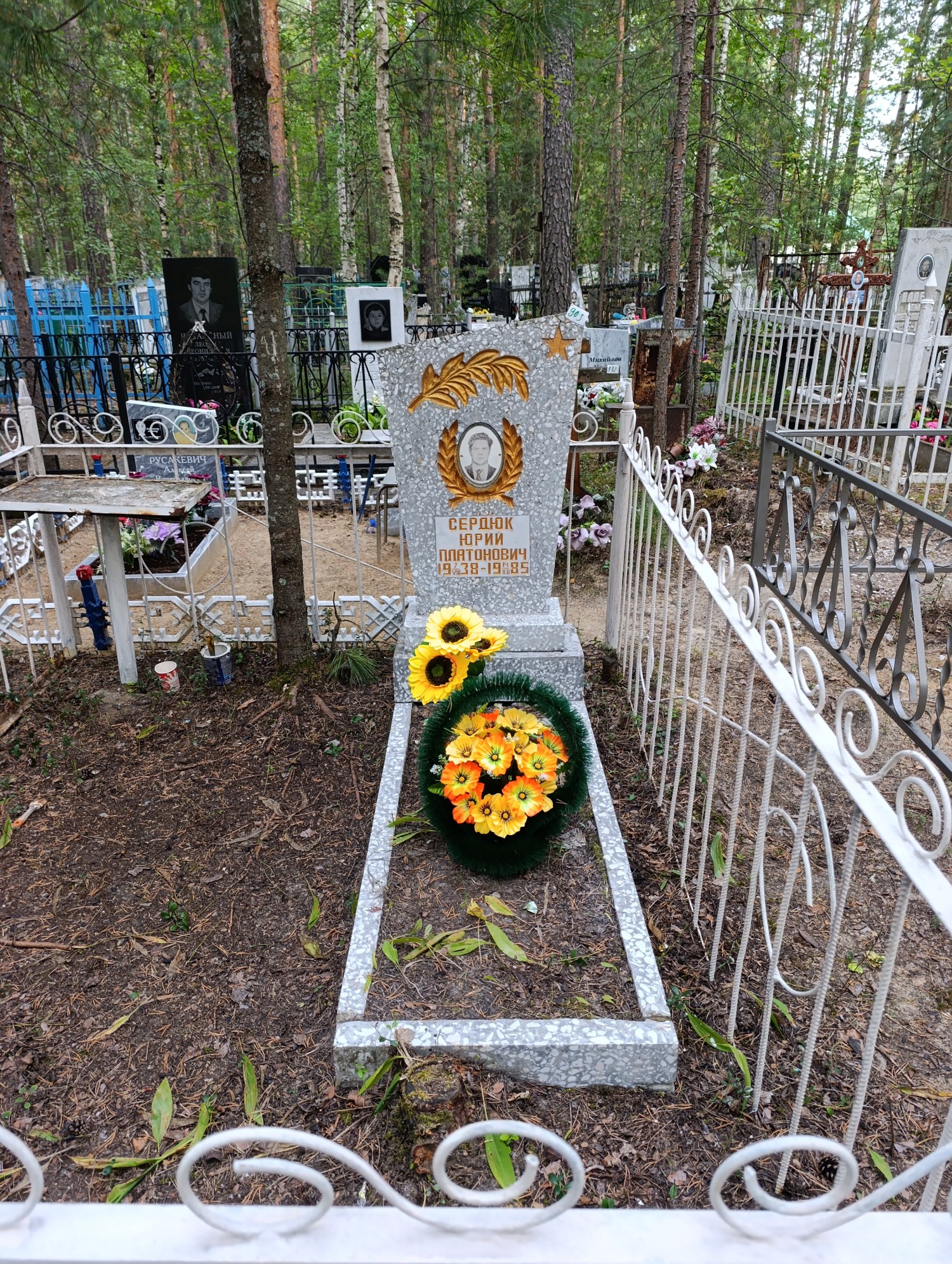 Сердюк Юрий Платонович