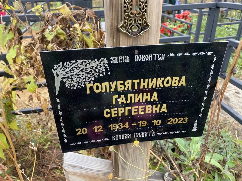 Голубятникова