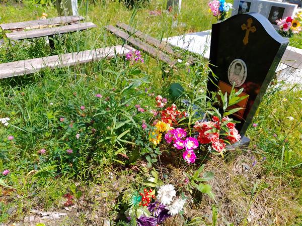 Арчибасов Александр