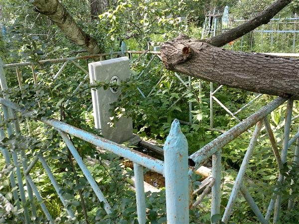 Мурзин Ширван Юнусович