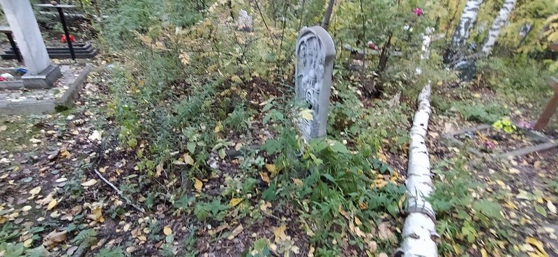 Михайлов Лев Анатольевич