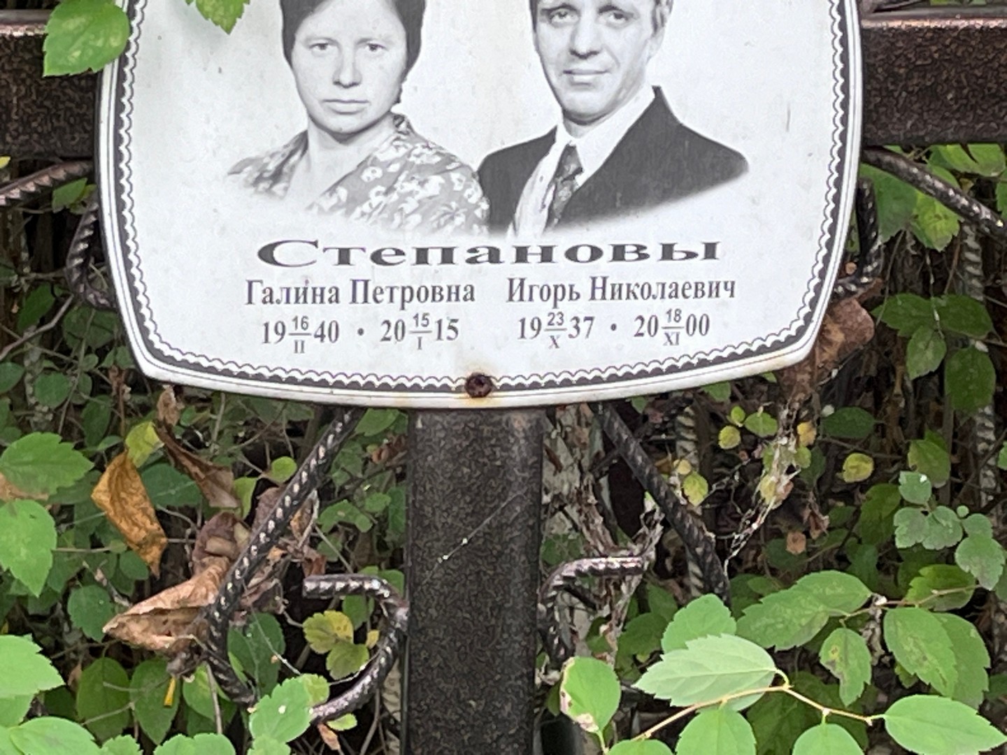 Степанов