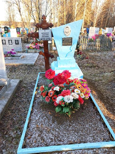 Боровский Александр Иосифович
