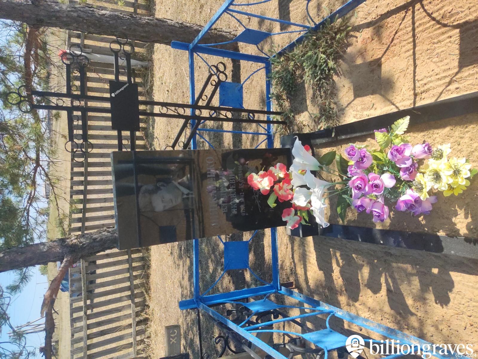 Шинкаренко Владимир Яковлевич