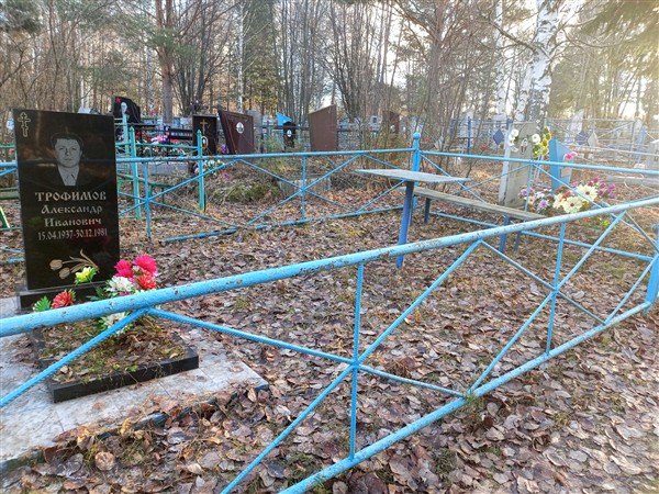 Трофимов Александр Иванович
