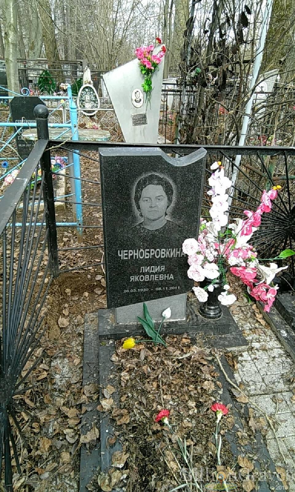 чернобровкина лидия яковлевна