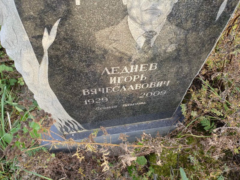 Леднев
