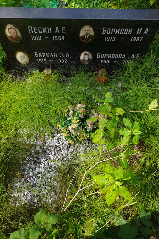 Борисов И. А.