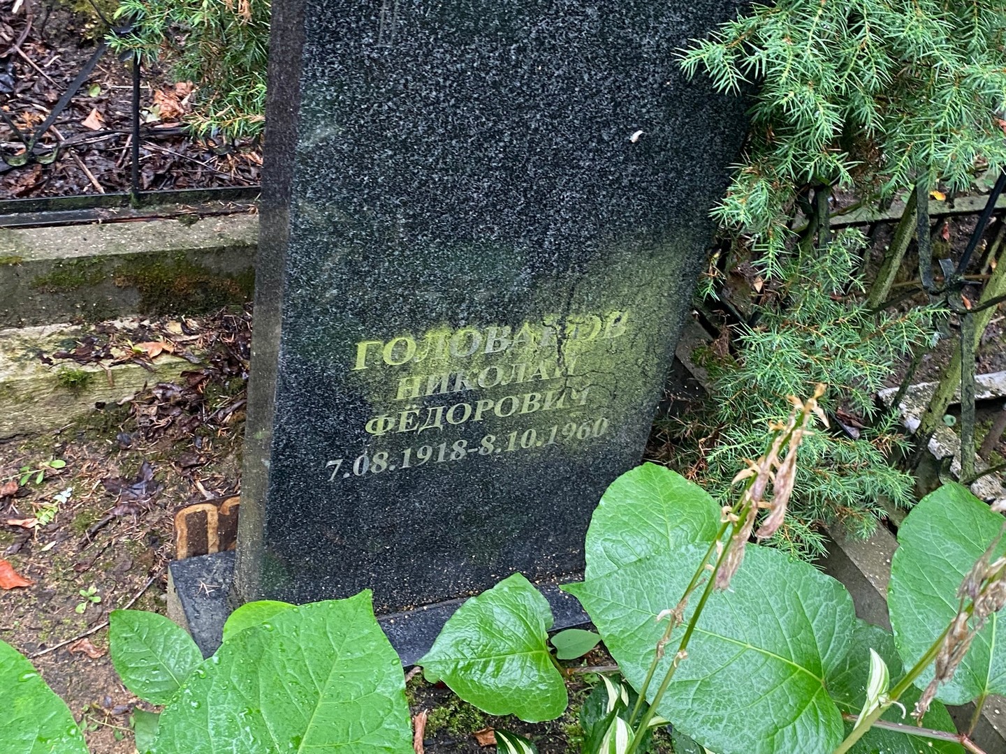 Голованов