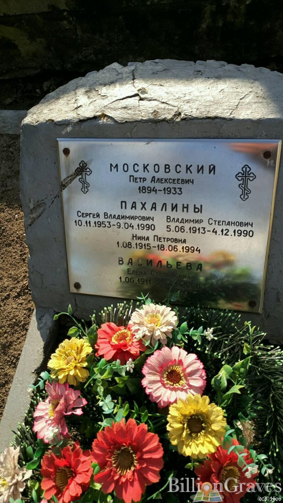 Васильева Елена Степанова