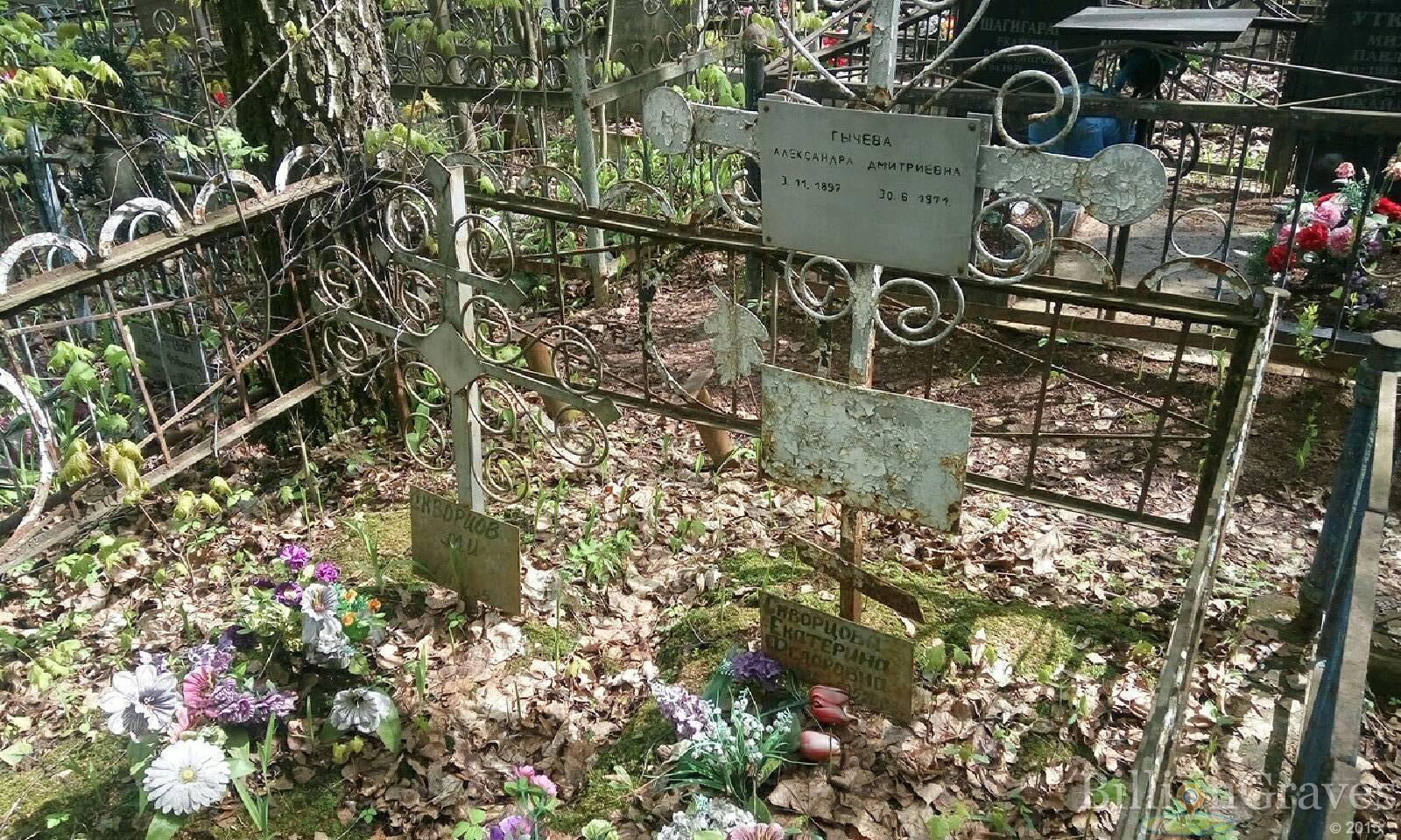 Гычева Александра Дмитриевна