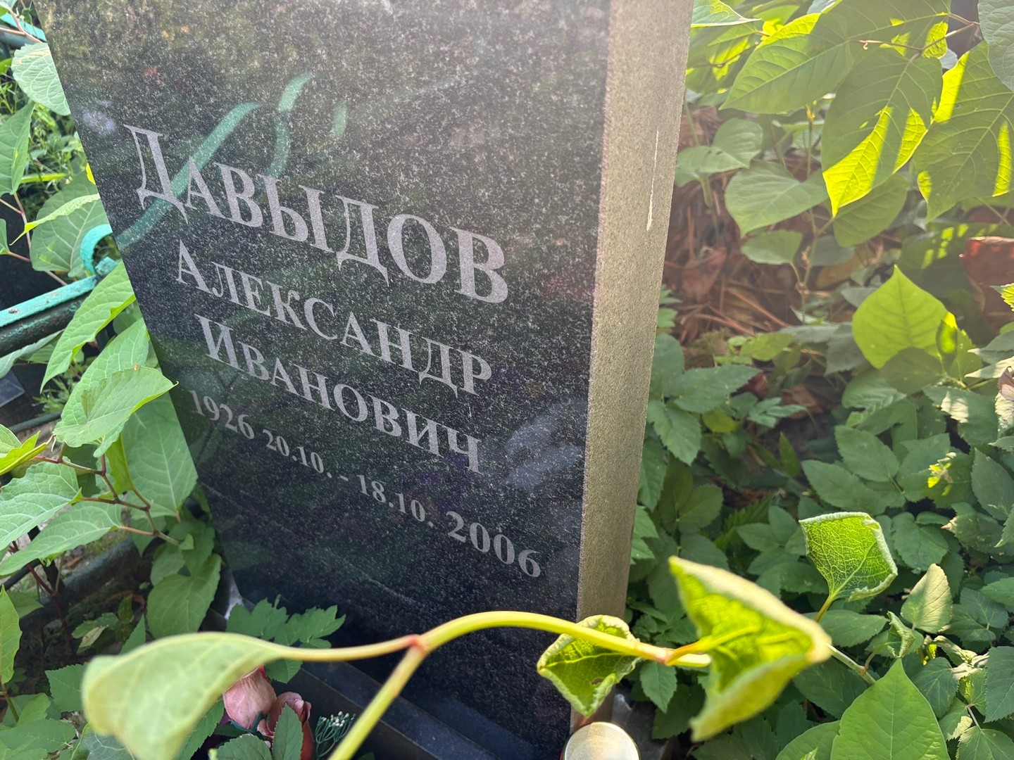 Давыдов