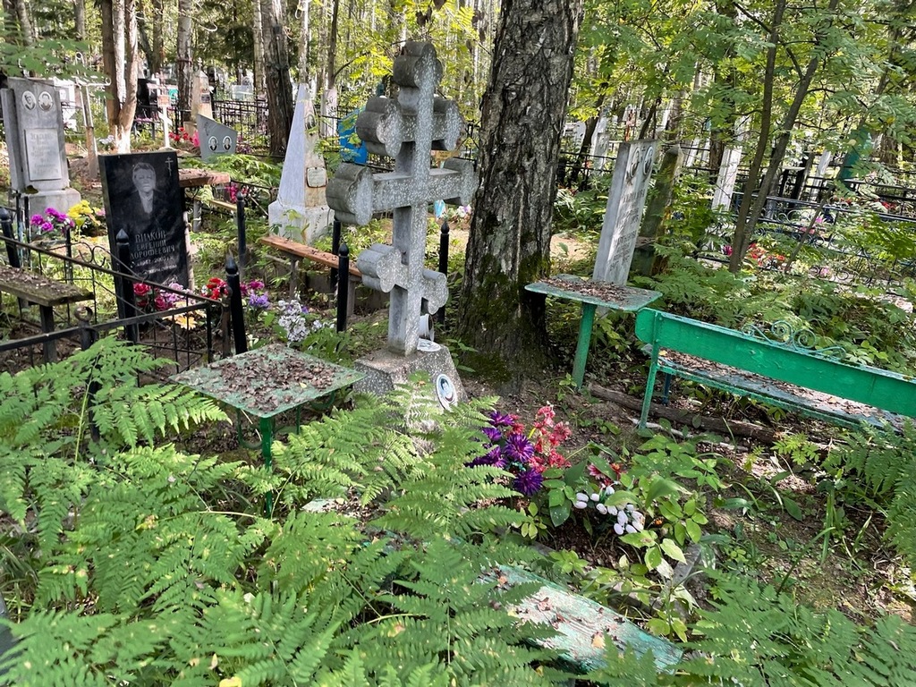 Коровина Евгения Николаевна