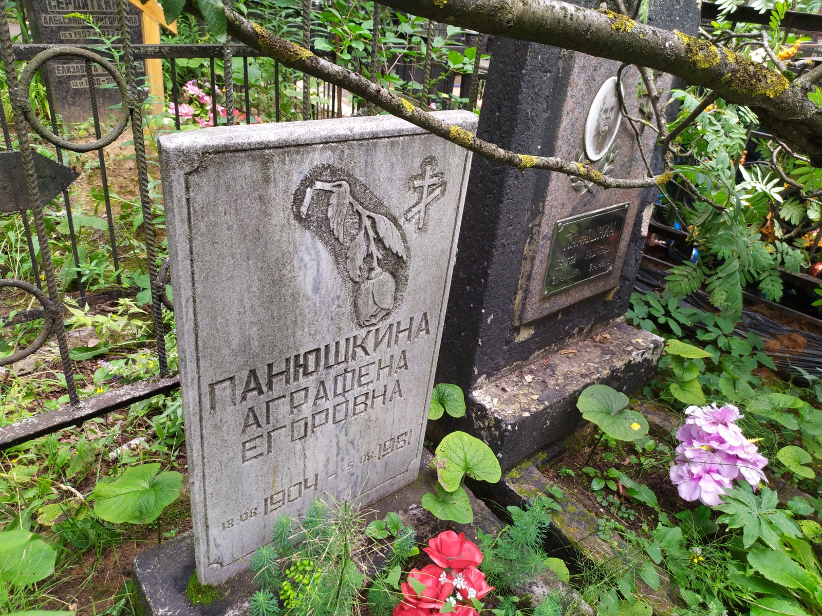 Панюшкина Аграфена Егоровна