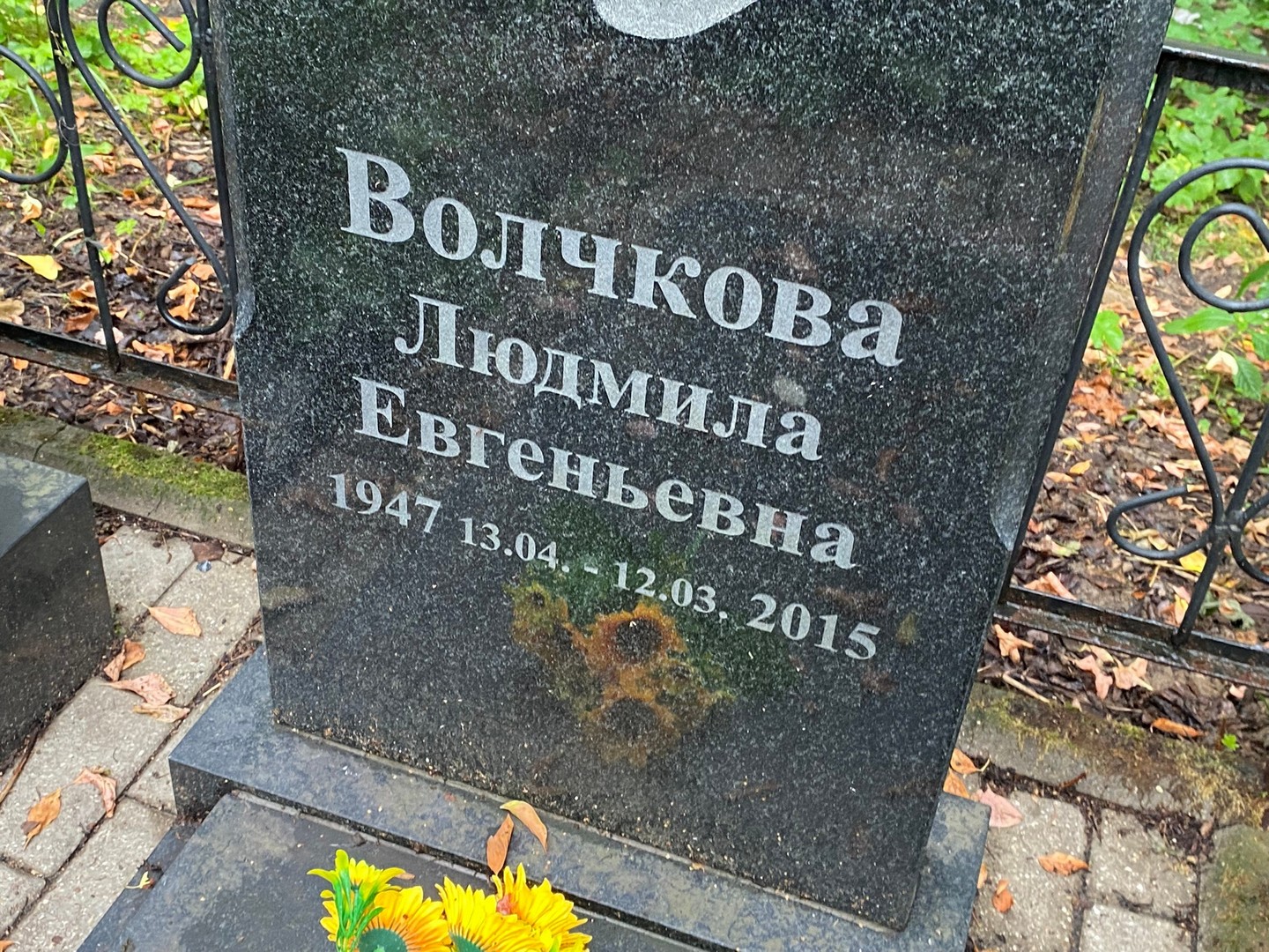 Волчкова