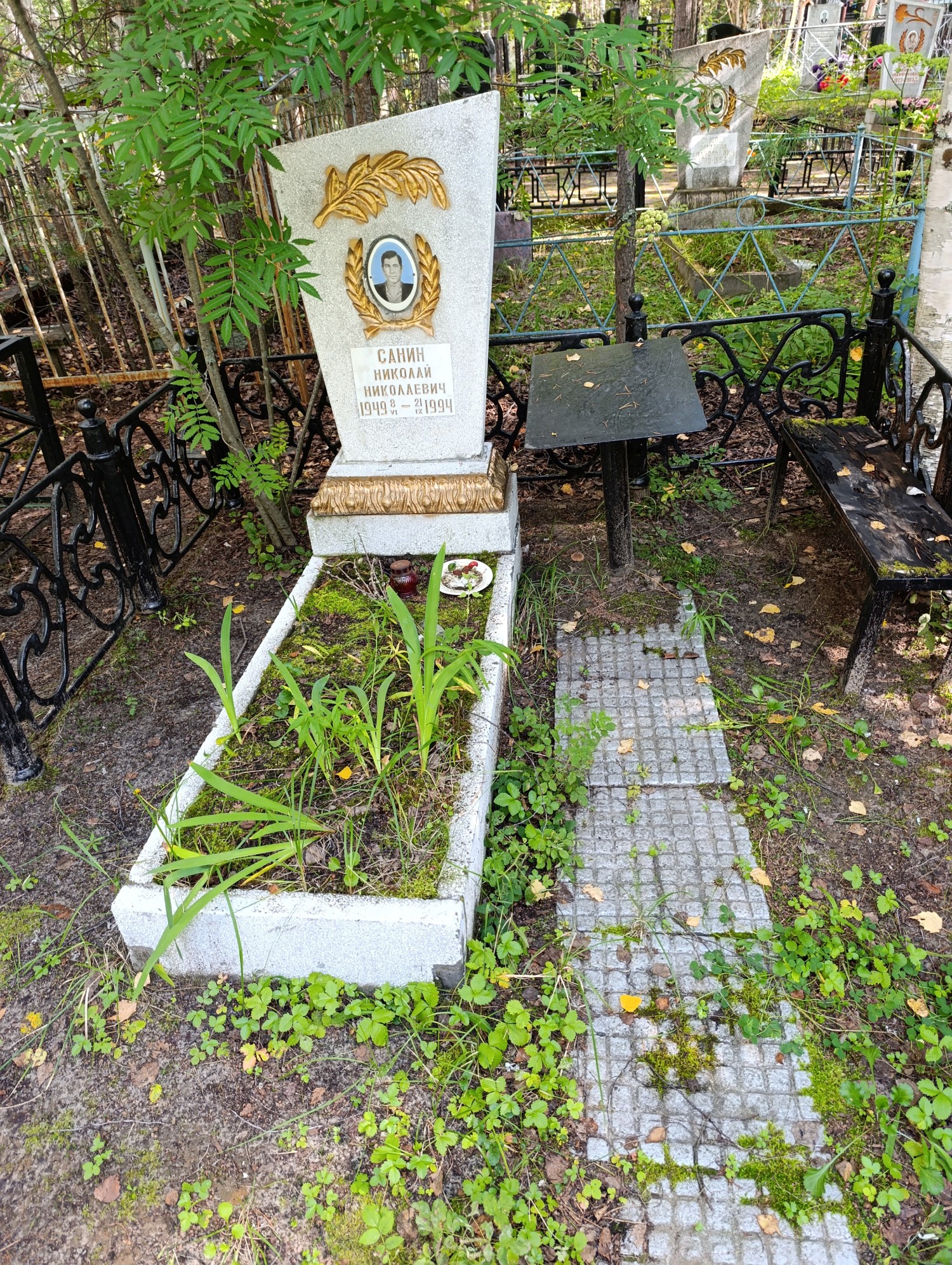 Санин Николай Николаевич