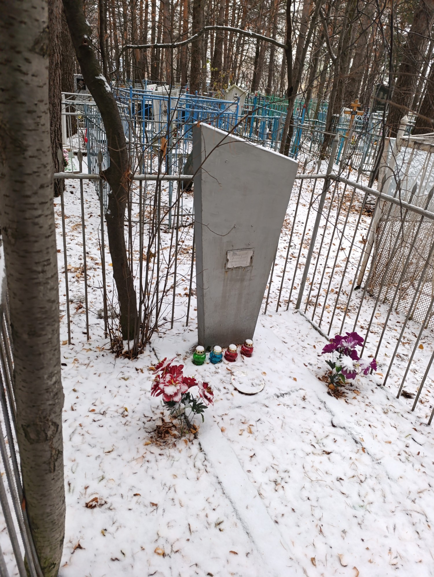 Топоров Николай Владимирович