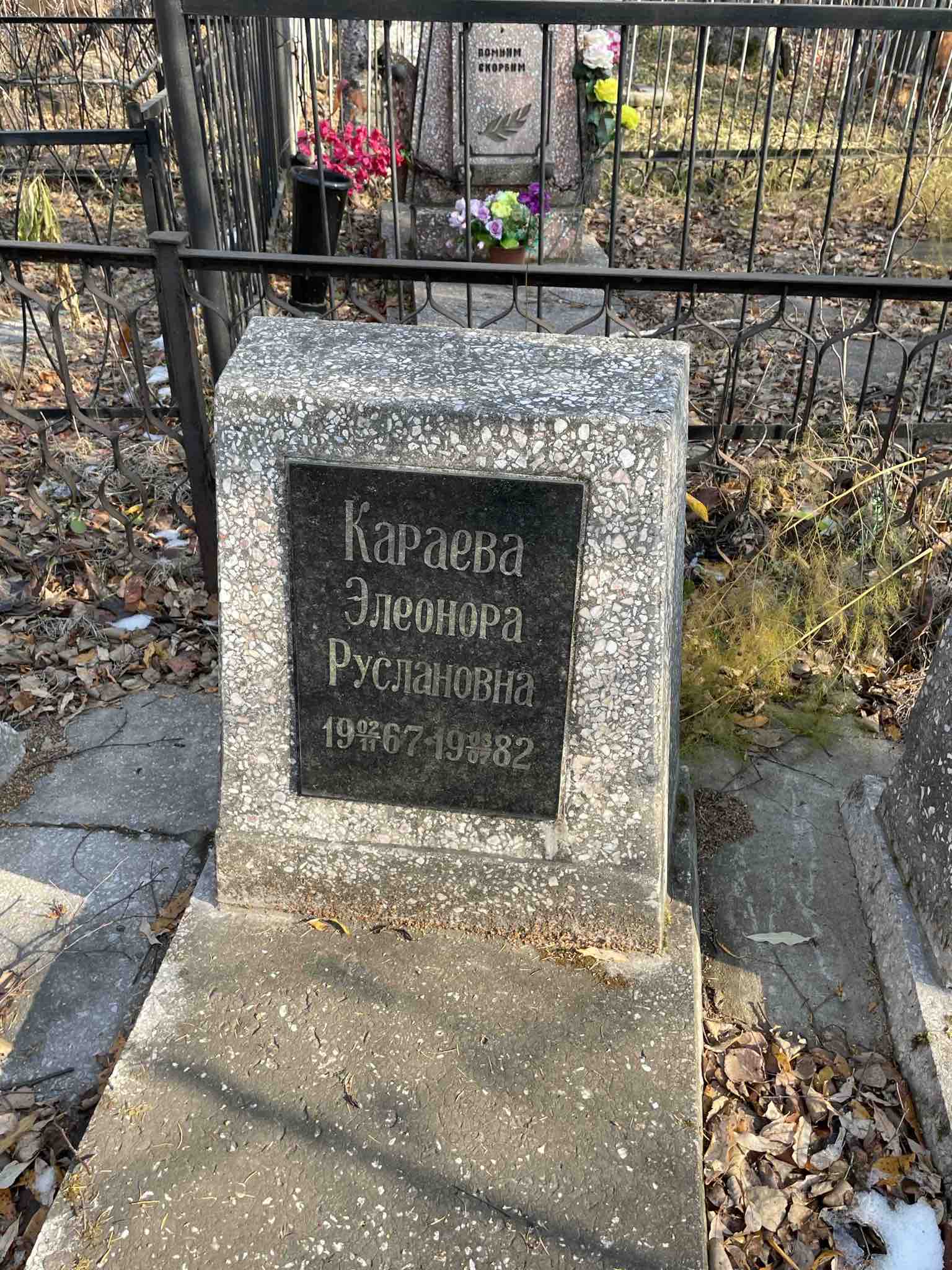 Караева Элеонора Руслановна